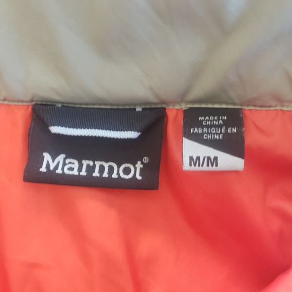 Marmot - Picture 11 of 15